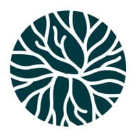 Brave logo